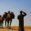 The Silk Road Freecoyn